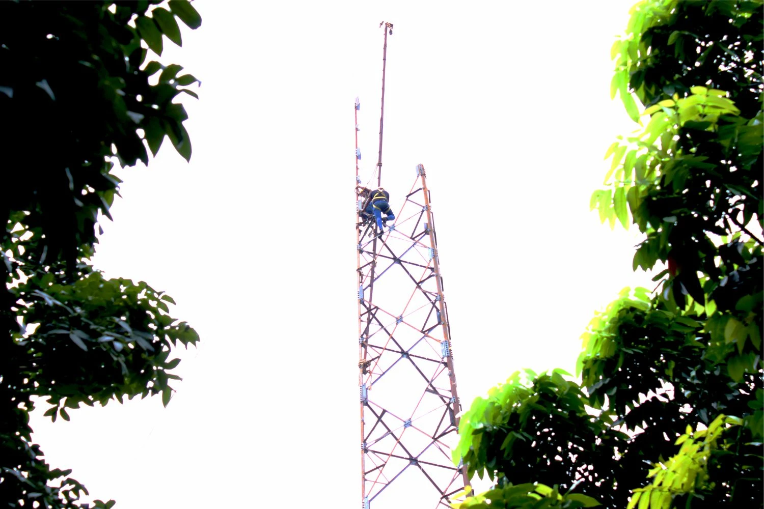 Uji Pasang Tower Seluler provider PT IBS Tipe 42M 2 Tenant